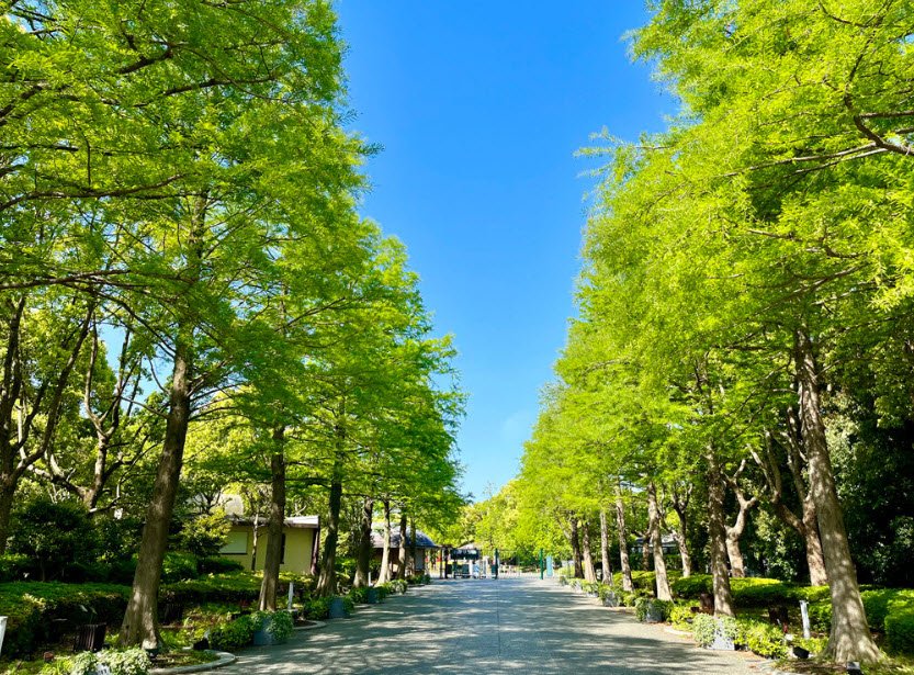 Nagai Botanical Garden, Osaka, Japan, Japan